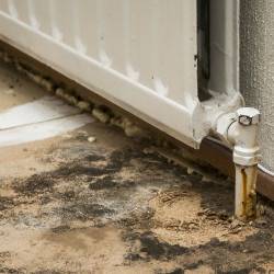 Air Quality and Mold Testing Abatement Services
